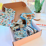 Mint Snappy Dino Dappertie™ - Mega Bundle Match (D Ring)