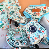 Mint Snappy Dino Dappertie™ - Mega Bundle Match (D Ring)