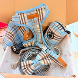 Blue Teddy Plaid Dappertie™ - Mega Bundle Match (D Ring)