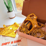 Sunny Daisy Signature Bloomtie™ - Mega Bundle (D Ring)