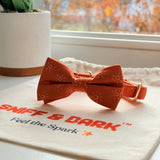 Ambar Suns Dappertie™ - Mega Bundle Match (D Ring)