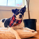 Crimson Navy Plaid Dappertie™ - Mega Bundle Match (D Ring)