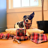 Crimson Navy Plaid Dappertie™ - Mega Bundle Match (D Ring)