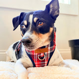 Crimson Navy Plaid AllSet™ Harness – Adjustable Bliss (D Ring)