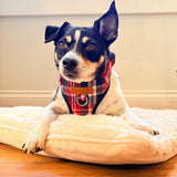 Crimson Navy Plaid AllSet™ Harness – Adjustable Bliss (D Ring)