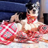 Garent Plaid Bow Dappertie™ - Mega Bundle Match (D Ring)