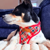 Garent Plaid AllSet™ Harness – Adjustable Bliss (D-ring)