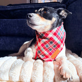 Garent Plaid Flairtie™ Bandana – 100% Cotton
