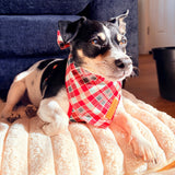 Garent Plaid Flairtie™ Bandana – 100% Cotton