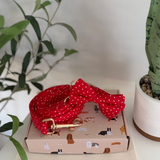 Red Polka Dot Signature Band™ + Slide-On Dappertie™ + Joyline™