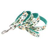 dog leash for walking