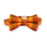 dog collar bowtie