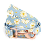 dog leash canada