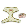 dog harness and leash set