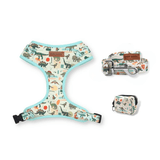 Mint Snappy Dino AllSet™ Harness Matching Bundle