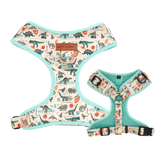 Mint Snappy Dino AllSet™ Harness Matching Bundle (D Ring)