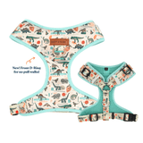 Mint Snappy Dino AllSet™ Harness – Adjustable Bliss (D Ring)