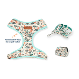 Mint Snappy Dino AllSet™ Harness Matching Bundle (D Ring)