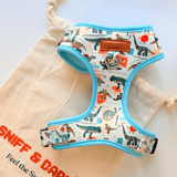 Mint Snappy Dino AllSet™ Harness – Adjustable Bliss (D Ring)