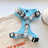 Mint Snappy Dino AllSet™ Harness – Adjustable Bliss (D Ring)