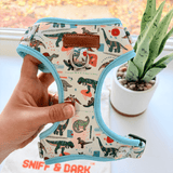 Mint Snappy Dino AllSet™ Harness – Adjustable Bliss (D Ring)