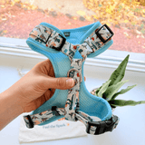 Mint Snappy Dino AllSet™ Harness – Adjustable Bliss (D Ring)