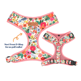 Morning Floral AllSet™ Harness Matching Bundle (D Ring)