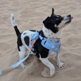 Marigold Bloom AllSet™ Harness – Adjustable Bliss (D Ring)