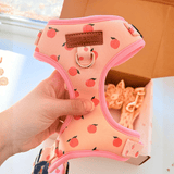 Peach Blush Signature Bloomtie™ - Mega Bundle (D Ring)