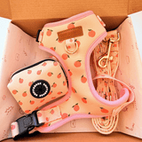 Peach Blush AllSet™ Harness Matching Bundle (D Ring)