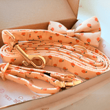 Peach Blush AllSet™ Harness Matching Bundle (D Ring)
