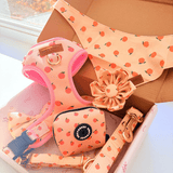 Peach Blush Signature Bloomtie™ - Mega Bundle (D Ring)