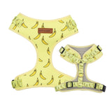 best dog harness
