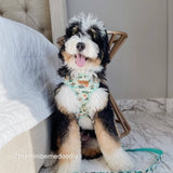 best escape proof dog harness