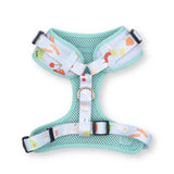 best dog harness canada