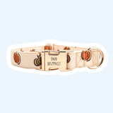 Pumpkin Signature Band™ + Slide-On Dappertie™ + Joyline™