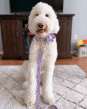 Purple Daisy Signature Band™ - Crafted Collar