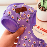 Purple Daisy AllSet™ Harness – Adjustable Bliss (D Ring)