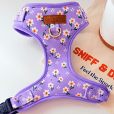 Purple Daisy Signature Bloomtie™ - Mega Bundle (D Ring)