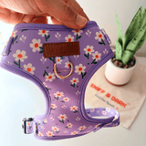 Purple Daisy AllSet™ Harness – Adjustable Bliss (D Ring)