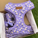 Purple Daisy AllSet™ Harness Matching Bundle