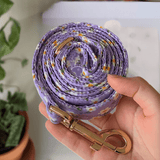 Purple Daisy AllSet™ Harness Matching Bundle (D Ring)