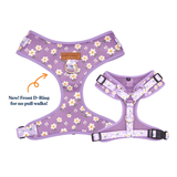 Purple Daisy AllSet™ Harness – Adjustable Bliss (D Ring)