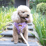 Purple Daisy AllSet™ Harness Matching Bundle (D Ring)