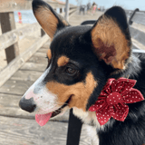 Red Polka Dot Signature Band™ + Slide-On Bloomtie™
