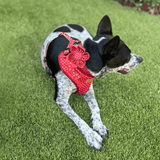 Red Polka Dot Signature Band™ + Slide-On Bloomtie™