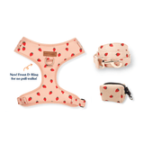 Rosie Strawberry AllSet™ Harness Matching Bundle (D Ring)