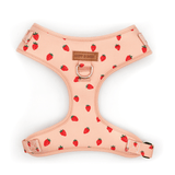 Rosie Strawberry AllSet™ Harness – Adjustable Bliss (D Ring)