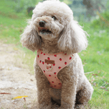 Rosie Strawberry Signature Bloomtie™ - Mega Bundle (D Ring)