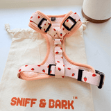 Rosie Strawberry AllSet™ Harness Matching Bundle (D Ring)